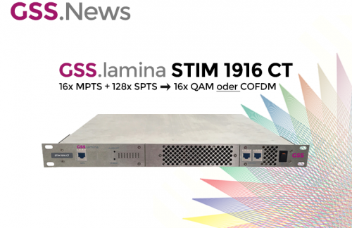 GSS-lamina_STIM1916CT