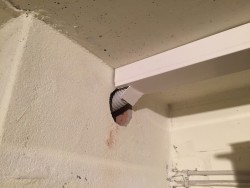 Durchbruch Keller.JPG (125.6 KiB) 5023 mal betrachtet Durchbruch_Kamin_Keller