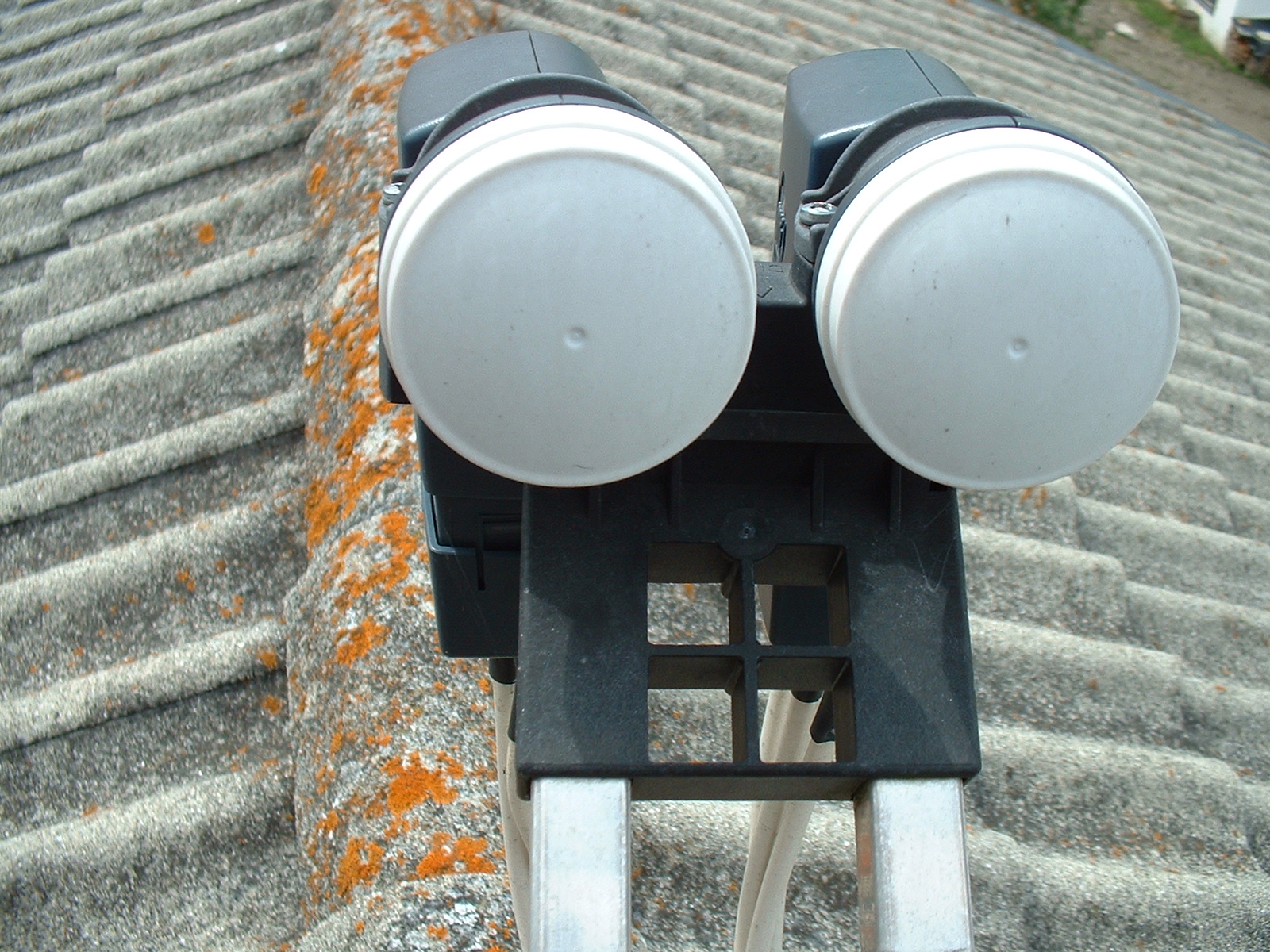 DSCF0082.JPG
